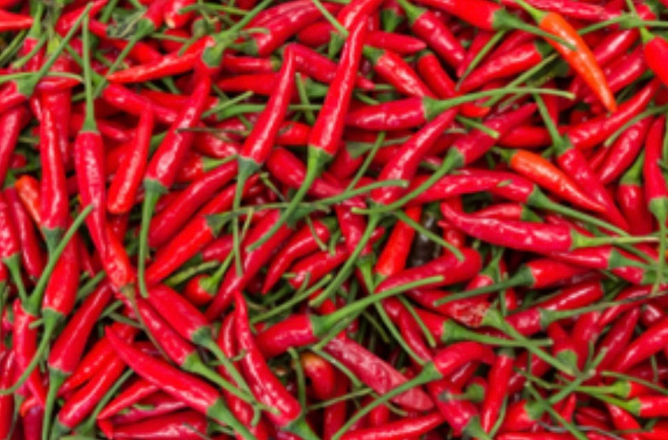 Vanyanchalè