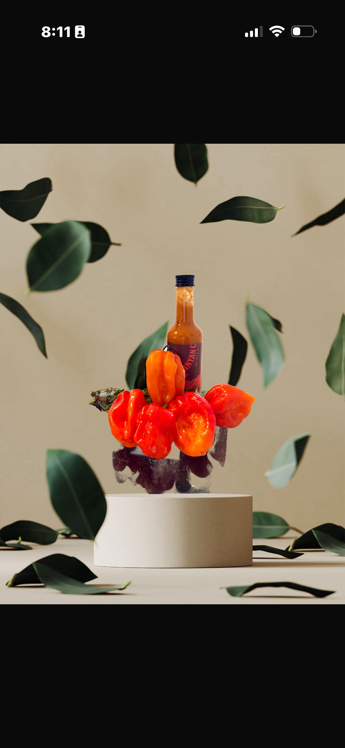 Vanyan chalè piti a